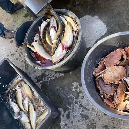 2 Bedroom Cozy In Finnas